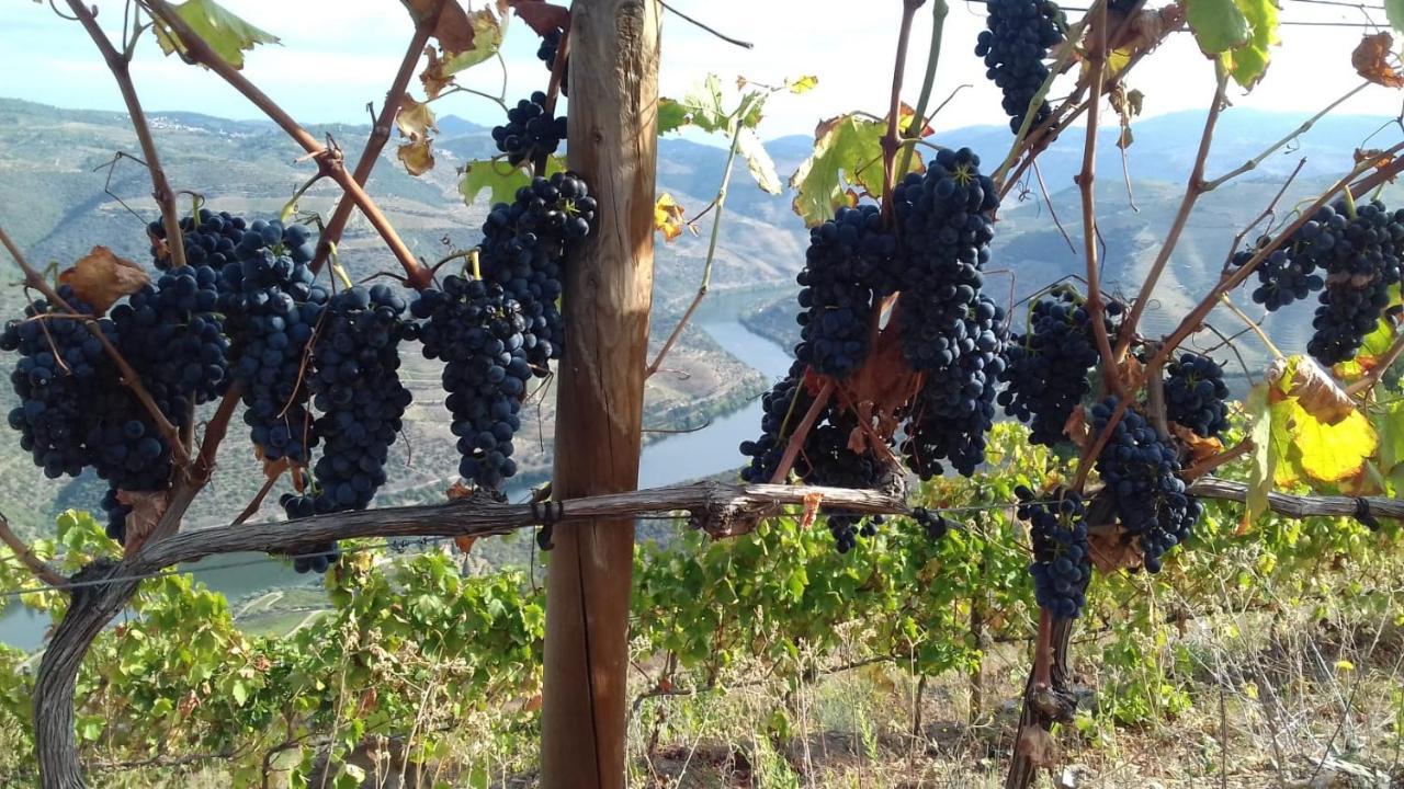Stay At The Winemaker Ervedosa do Douro Bagian luar foto