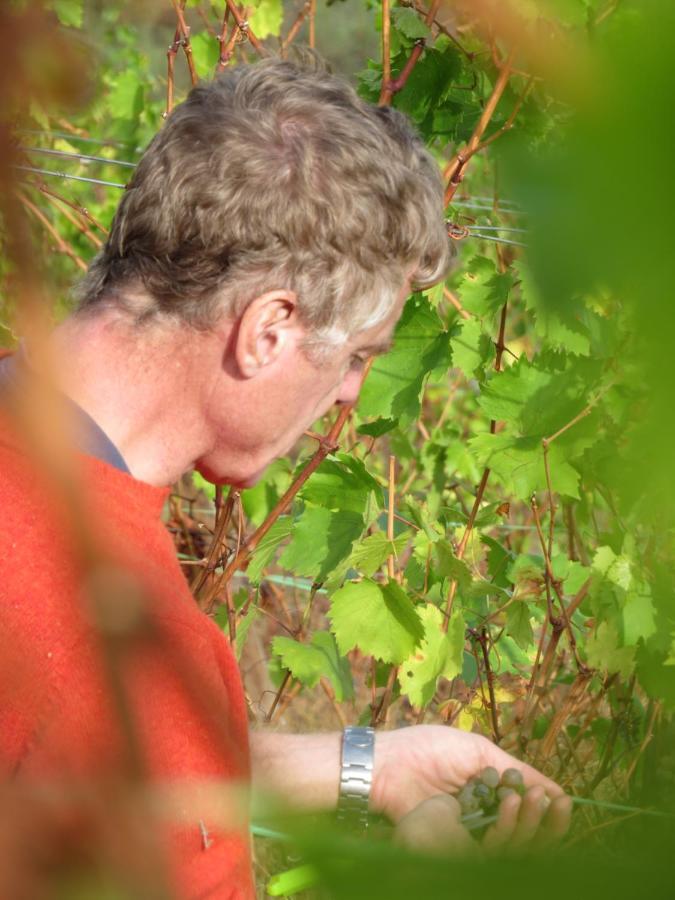 Stay At The Winemaker Ervedosa do Douro Bagian luar foto