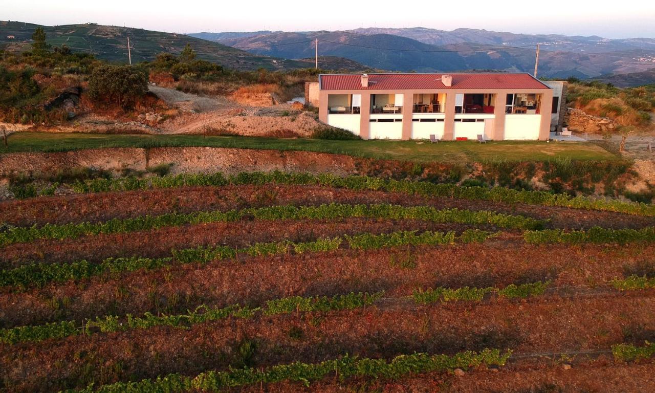 Stay At The Winemaker Ervedosa do Douro Bagian luar foto