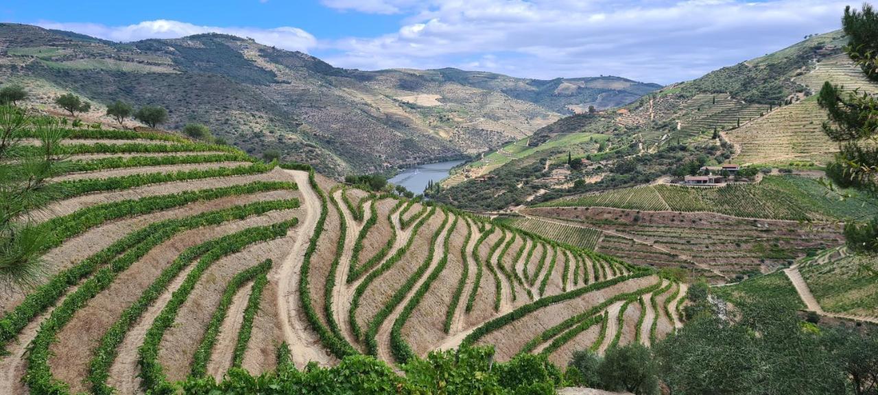 Stay At The Winemaker Ervedosa do Douro Bagian luar foto