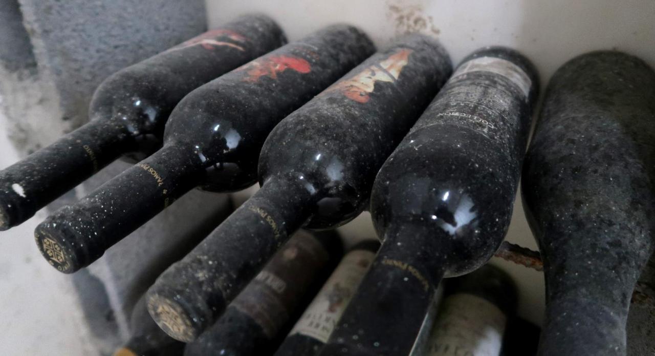 Stay At The Winemaker Ervedosa do Douro Bagian luar foto