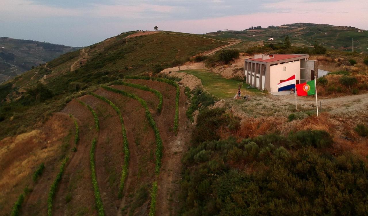 Stay At The Winemaker Ervedosa do Douro Bagian luar foto
