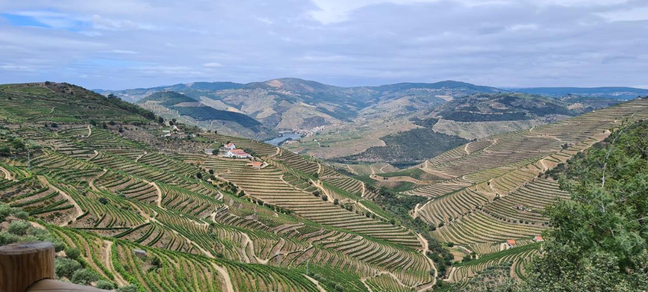 Stay At The Winemaker Ervedosa do Douro Bagian luar foto