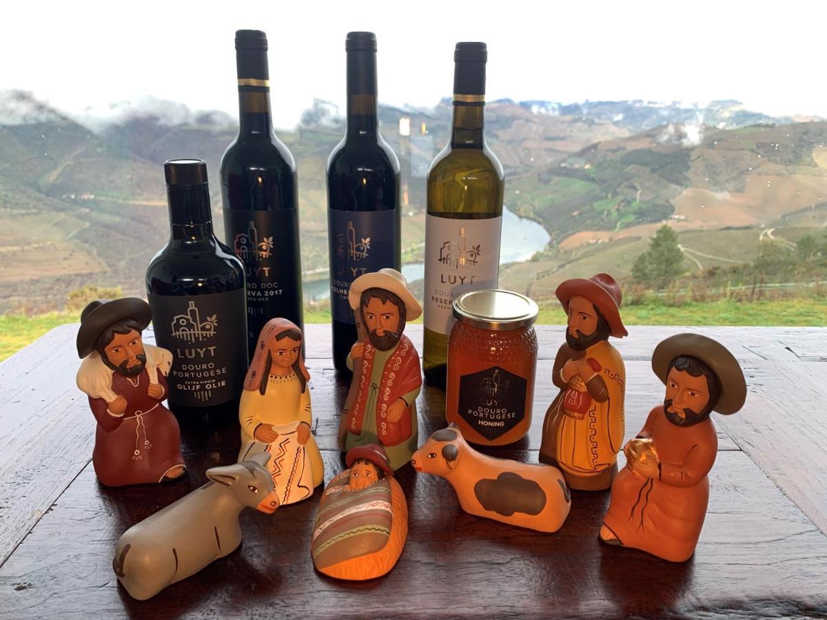 Stay At The Winemaker Ervedosa do Douro Bagian luar foto