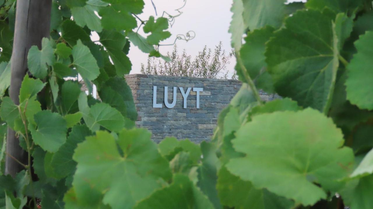Stay At The Winemaker Ervedosa do Douro Bagian luar foto